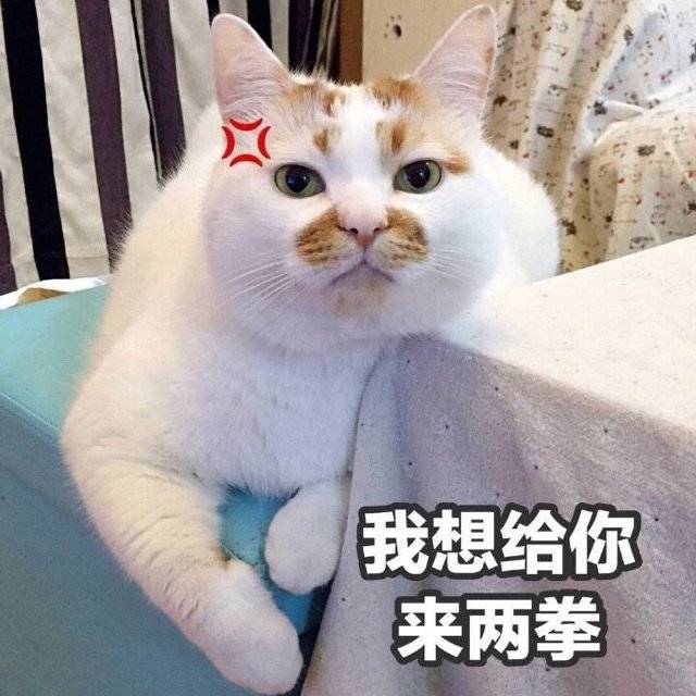 怎么开皇冠信用盘会员_爱奇艺限制会员投屏画质!好在这款工具能搞定怎么开皇冠信用盘会员,让你看片追剧不愁