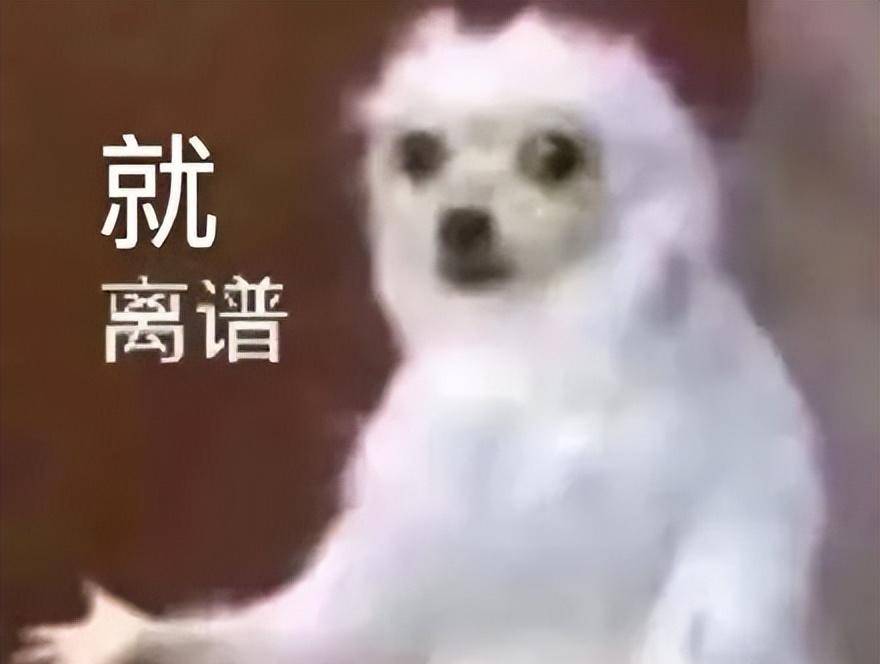正版皇冠信用网出租_无意发现自己老师正版皇冠信用网出租,在大街上捡东西吃?网友:尴尬到脚指扣地哈哈
