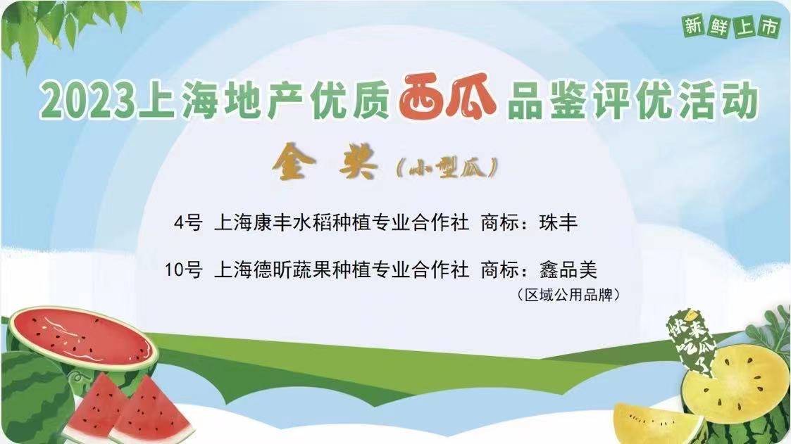 welcome皇冠注册_今年金奖西瓜出炉welcome皇冠注册,上海举办2023年上海地产优质西瓜品鉴评优和展示活动