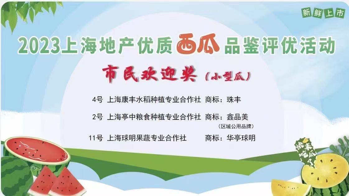 welcome皇冠注册_今年金奖西瓜出炉welcome皇冠注册,上海举办2023年上海地产优质西瓜品鉴评优和展示活动