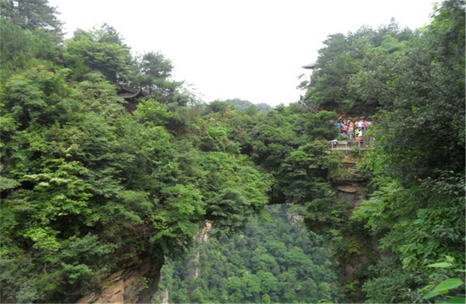 如何找当地皇冠代理_张家界旅游攻略:如何规划张家界最佳旅行路线?找当地私人地陪导游解决如何找当地皇冠代理!
