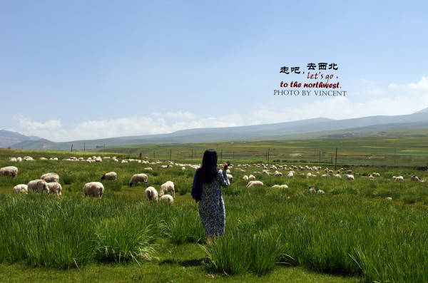 如何找当地皇冠代理_青海旅游攻略:如何规划青海最佳旅行路线?找当地私人地陪导游解决如何找当地皇冠代理!