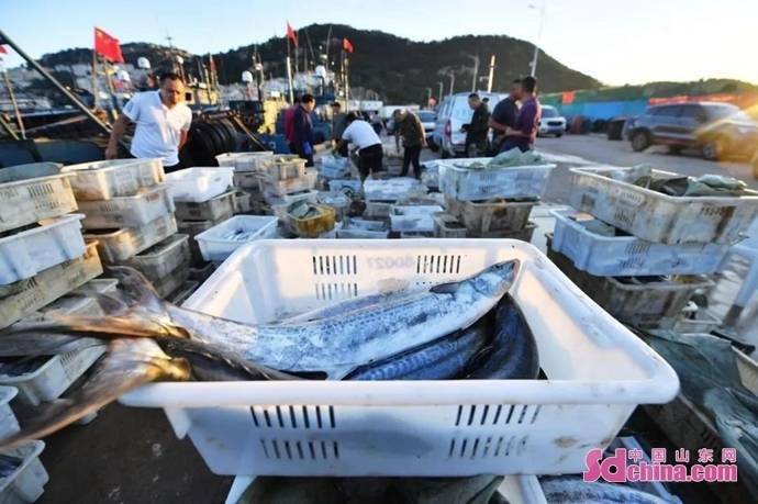 怎么开皇冠信用网_美德信用在市南:开海第一网 不忘文明餐桌新风尚