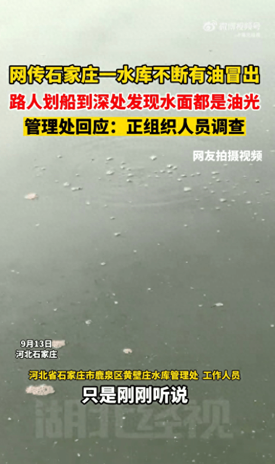 皇冠信用网正网_网传石家庄一水库不断有油冒出皇冠信用网正网,水库管理处回应:正组织人员调查