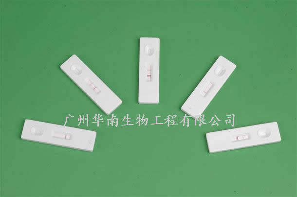 皇冠信用网登1_登革病毒NS1抗原检测试剂盒(胶体金法)