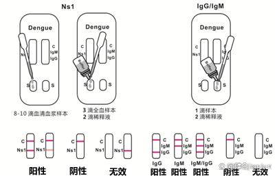 皇冠信用网登1_登革病毒NS1/IgG/IgM联检试剂盒(胶体金法)