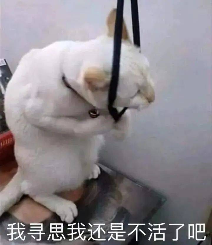 皇冠信用网怎么租_涨租25%皇冠信用网怎么租?万博房东怎么敢啊...
