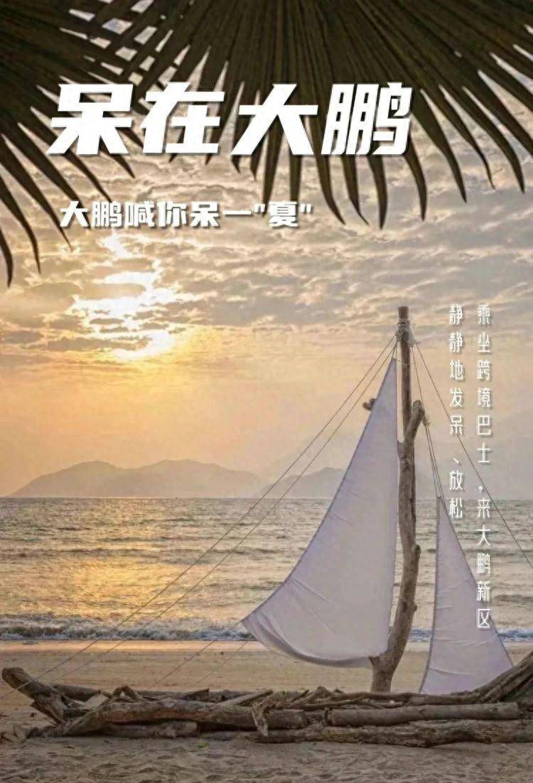 新2线路_新线路+1新2线路!香港往返深圳大鹏新区跨境巴士开启试运营