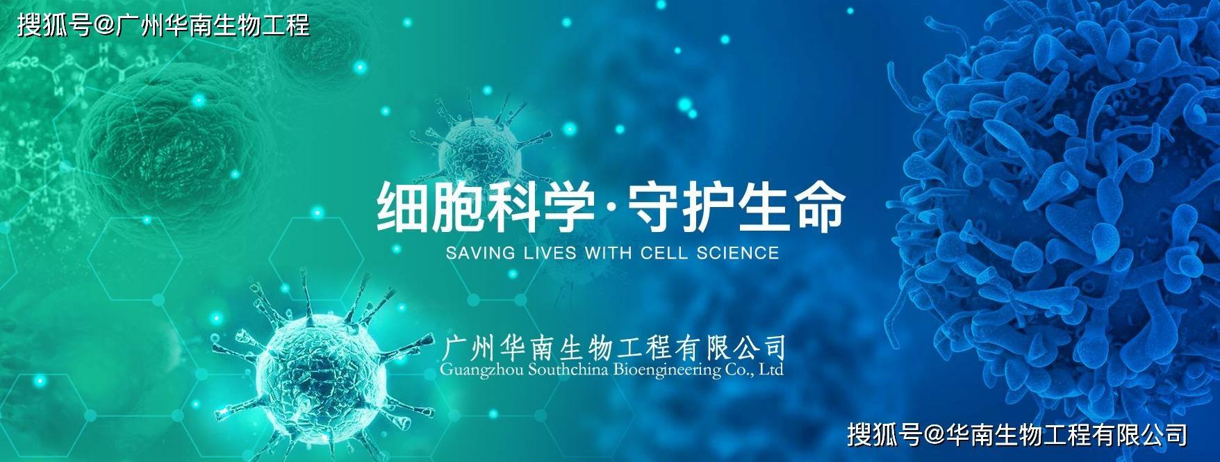 皇冠登1登2登3_登革病毒抗原NS1、登革IgG/IgM抗体检测试剂盒(胶体金法)