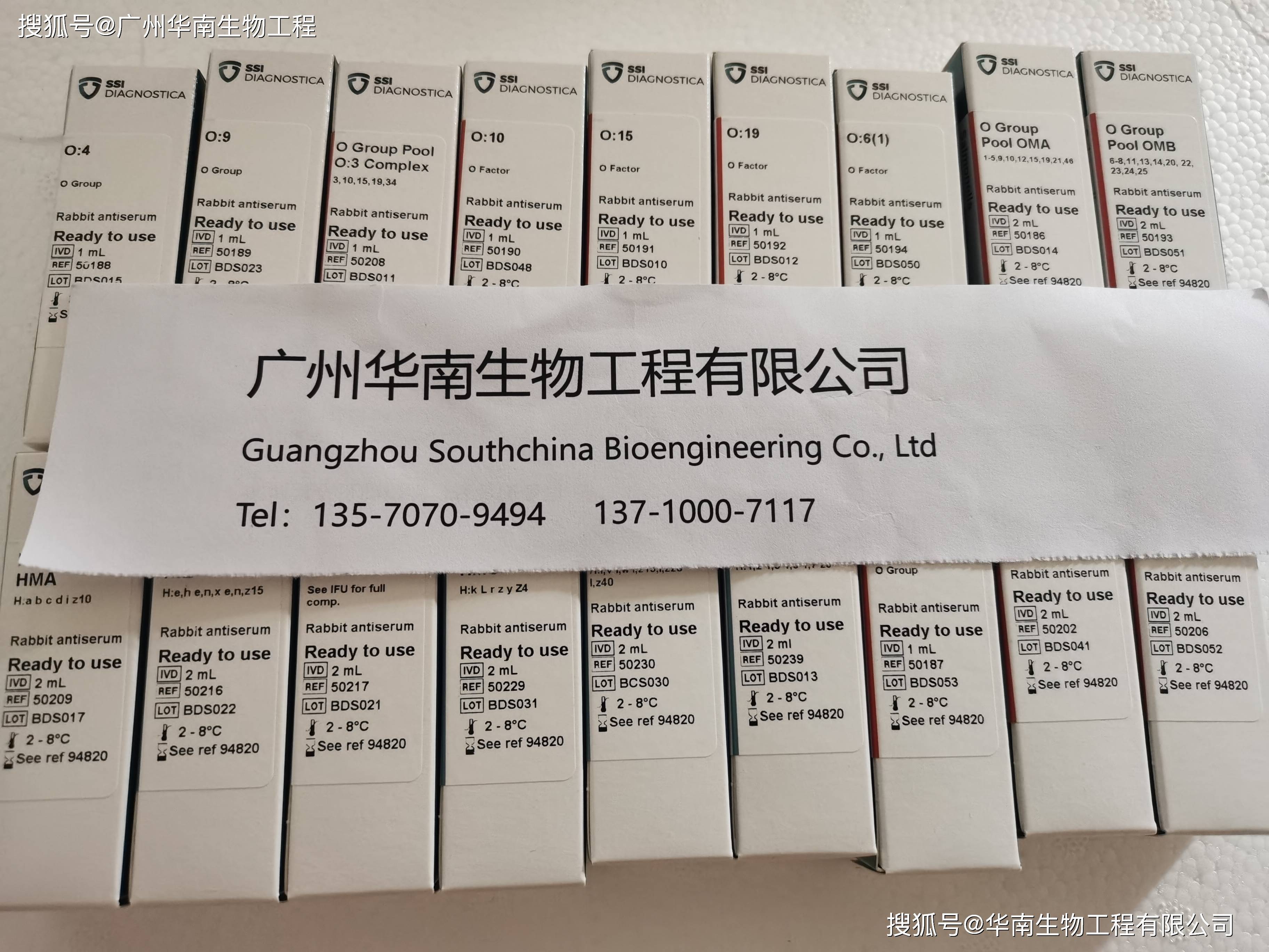 皇冠登1登2登3_登革病毒抗原NS1、登革IgG/IgM抗体检测试剂盒(胶体金法)