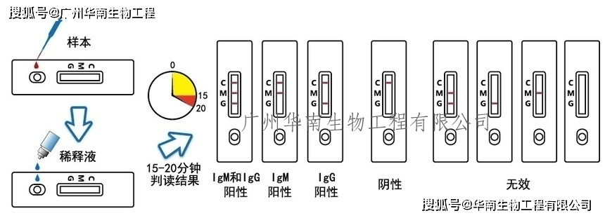 皇冠登1登2登3_登革病毒抗原NS1、登革IgG/IgM抗体检测试剂盒(胶体金法)