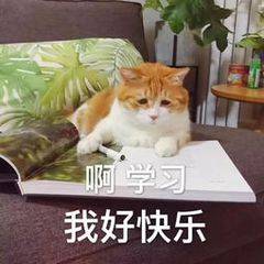 皇冠信用網如何注册_个人可以注册ASN吗皇冠信用網如何注册?如何注册?