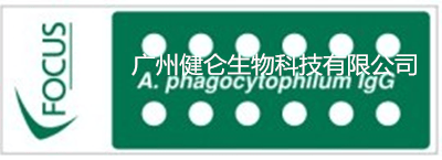 hga030hga050怎么注册_HGA嗜血细胞无形体IFA荧光玻片检测试剂盒(美国FOCUS)