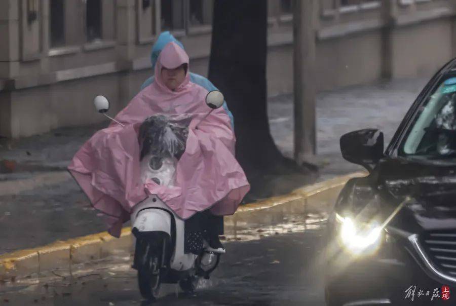 皇冠信用盘结算日是哪天_上海市民注意:暴雨将继续皇冠信用盘结算日是哪天,只要熬过今天就好!“苏州河满上来了?”官方最新回应→