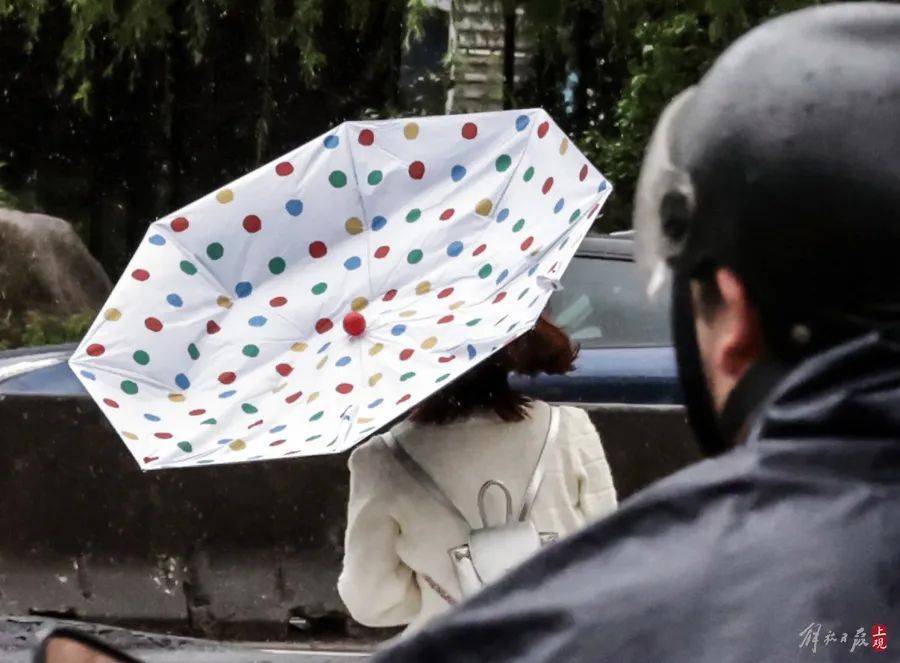 皇冠信用盘结算日是哪天_上海市民注意:暴雨将继续皇冠信用盘结算日是哪天,只要熬过今天就好!“苏州河满上来了?”官方最新回应→