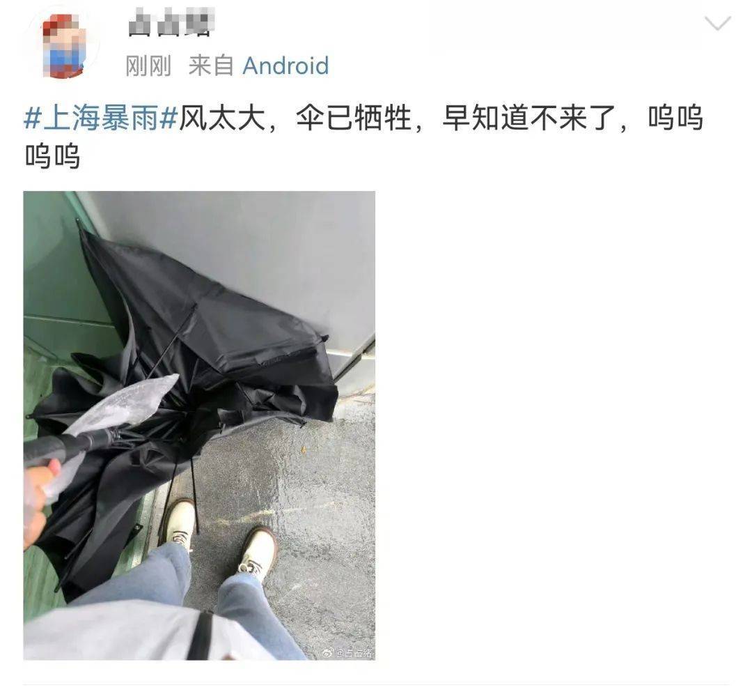 皇冠信用盘结算日是哪天_上海市民注意:暴雨将继续皇冠信用盘结算日是哪天,只要熬过今天就好!“苏州河满上来了?”官方最新回应→