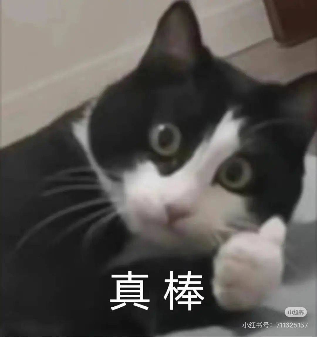 皇冠信用网如何注册_断崖式暴跌皇冠信用网如何注册!这波太猛!杭州人挺住了