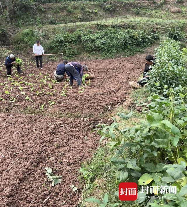 皇冠信用网哪里申请_女子失联12天通风井下获救皇冠信用网哪里申请,丈夫耳语“千万别睡,儿子还在找你”|封面头条