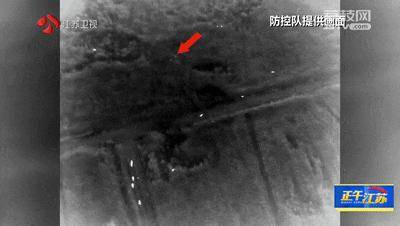 皇冠信用網怎么注册_300斤大野猪被迅速捕猎皇冠信用網怎么注册!南京老山里有一队“野猪赏金猎人”