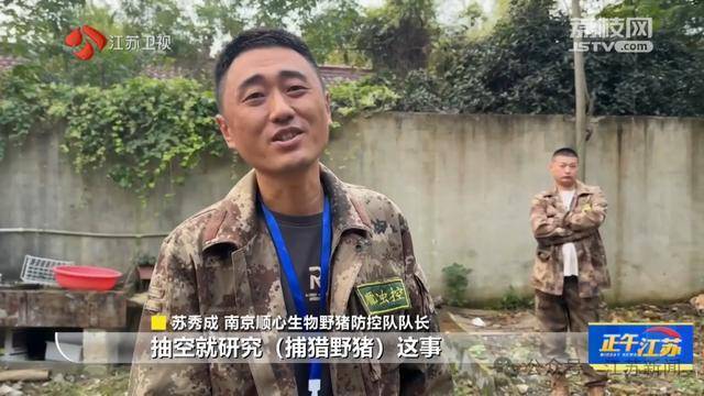 皇冠信用網怎么注册_300斤大野猪被迅速捕猎皇冠信用網怎么注册!南京老山里有一队“野猪赏金猎人”