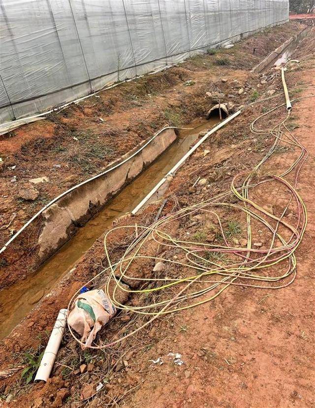 皇冠信用网注册_长沙一男子在辣椒基地遭电击身亡皇冠信用网注册,官方:属意外,正协调善后