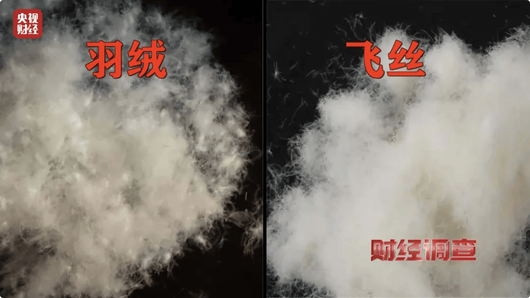 皇冠信用在线注册_热搜第一皇冠信用在线注册!7万件羽绒服含绒量0%!央视曝光:羽绒被也是假的!当地最新通报→
