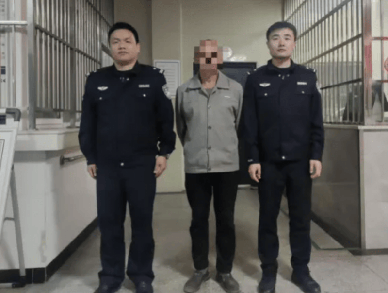 皇冠信用盘代理_刑拘!湖北咸宁60岁男子嘴馋野猪肉皇冠信用盘代理,在山林放置电网等狩猎