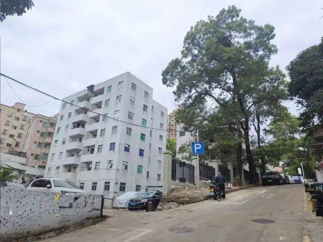 皇冠信用网会员申请_事发深圳凌晨!一城中村树木倒下压到电线皇冠信用网会员申请,有车辆被砸