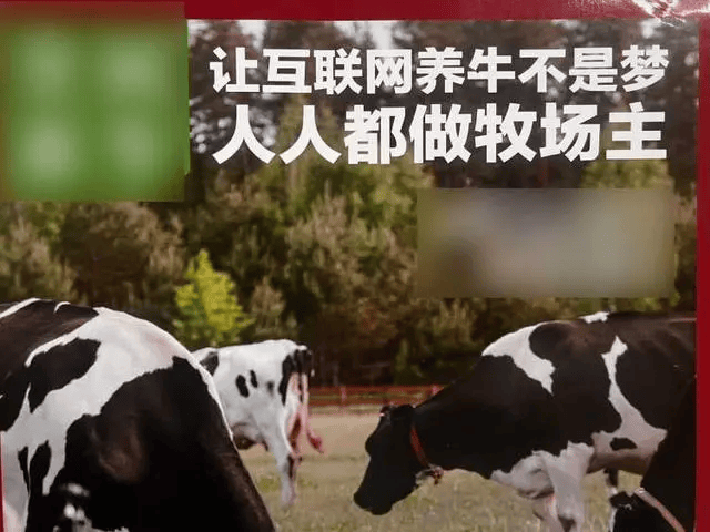 皇冠信用網最新地址_300万元变6万斤牛肉皇冠信用網最新地址,吃不到也卖不了,什么情况?