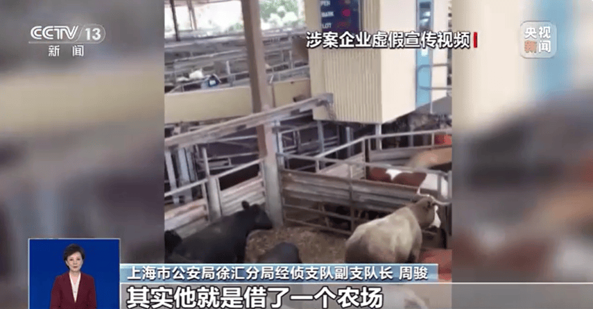 皇冠信用網最新地址_300万元变6万斤牛肉皇冠信用網最新地址,吃不到也卖不了,什么情况?