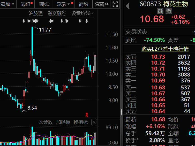 信用网如何申请_300378信用网如何申请,AI收入暴增超102%!机构密集关注