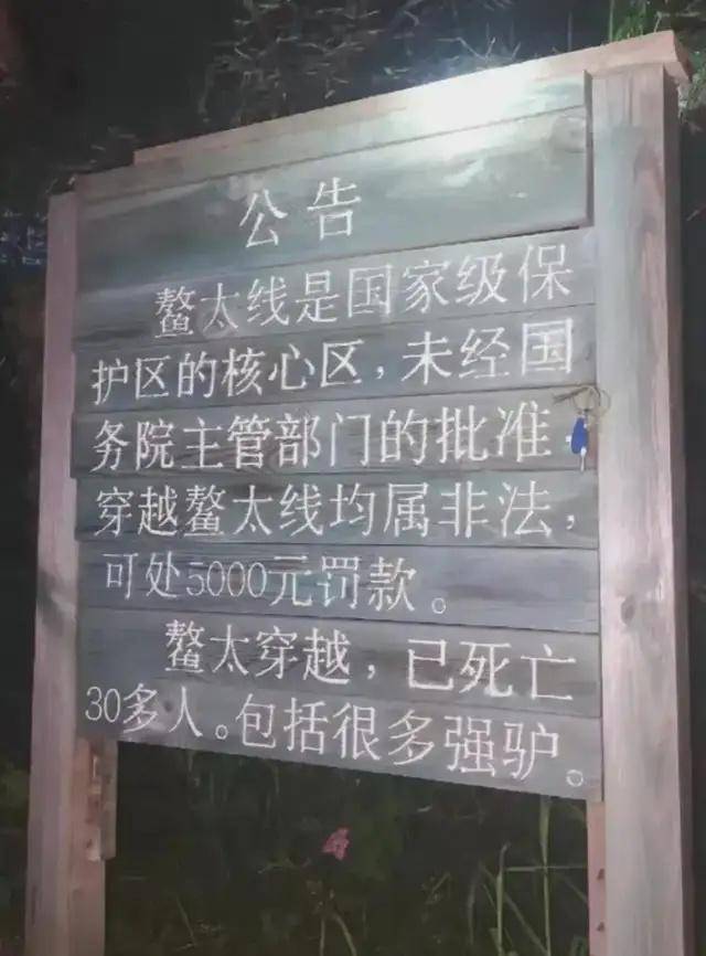 怎么开皇冠信用網_鳌太线发现尸体的博主或被罚款5000元怎么开皇冠信用網,本人回应:认罚并道歉