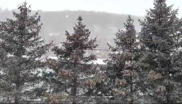 怎么注册皇冠信用網_北京真的下雪了!这里大雪纷飞怎么注册皇冠信用網,最新消息