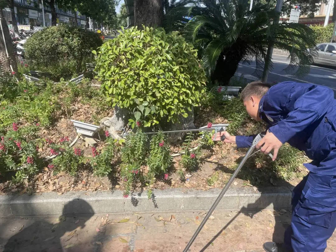 皇冠信用網怎么开户_剧毒!广东一市民等红灯时皇冠信用網怎么开户,路边花基突然钻出一条眼镜王蛇