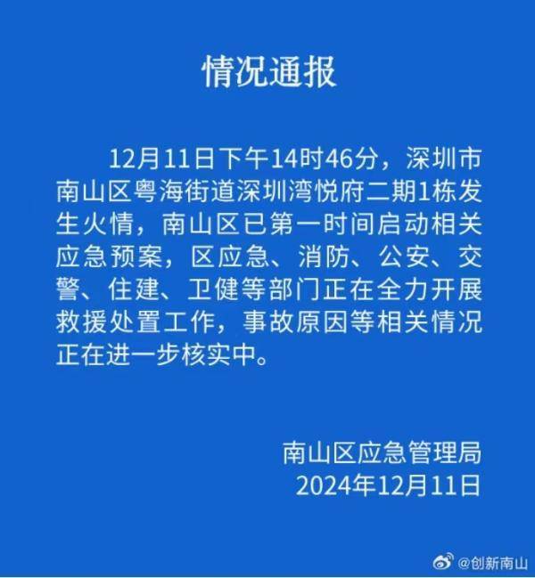 皇冠信用网在线注册_深圳湾一高端住宅发生爆炸皇冠信用网在线注册!目击者:有人和宠物狗从楼上坠落