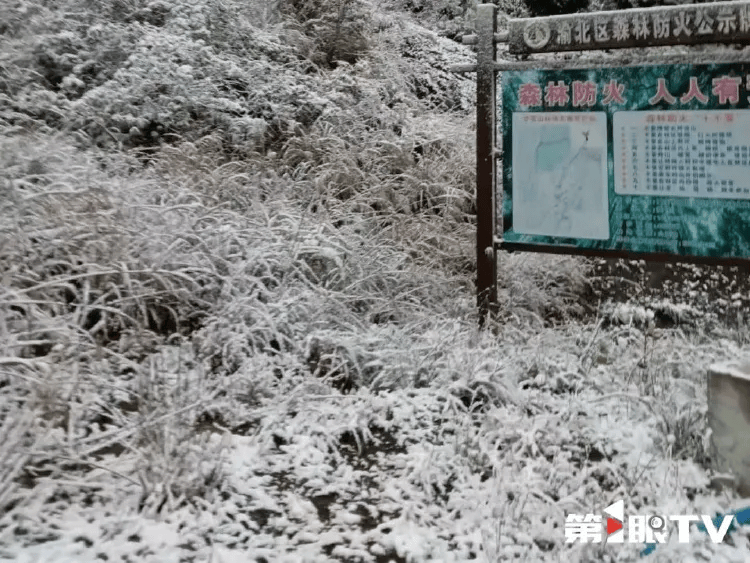 介绍个皇冠信用網网址_中心城区也下雪啦介绍个皇冠信用網网址!重庆明后天最低温仅-3℃