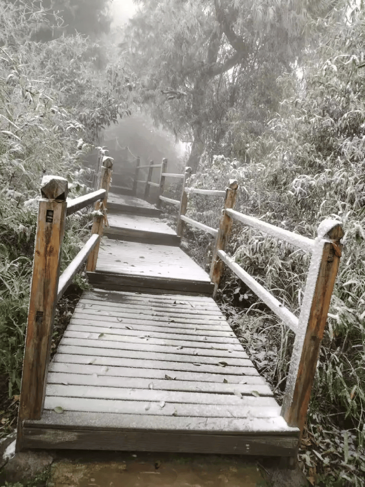 介绍个皇冠信用網网址_中心城区也下雪啦介绍个皇冠信用網网址!重庆明后天最低温仅-3℃