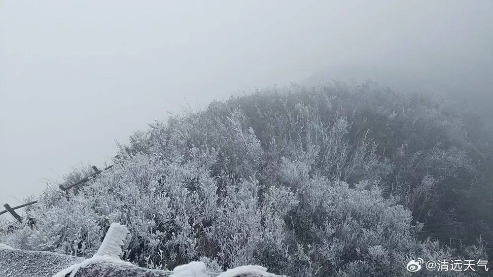怎么申请皇冠信用盘_冻到结冰怎么申请皇冠信用盘!或许你度过了广州今年下半年以来最冷早晨……