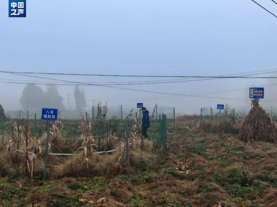 皇冠信用登2代理_贵州一地发生30多处地面塌陷皇冠信用登2代理!咋回事?