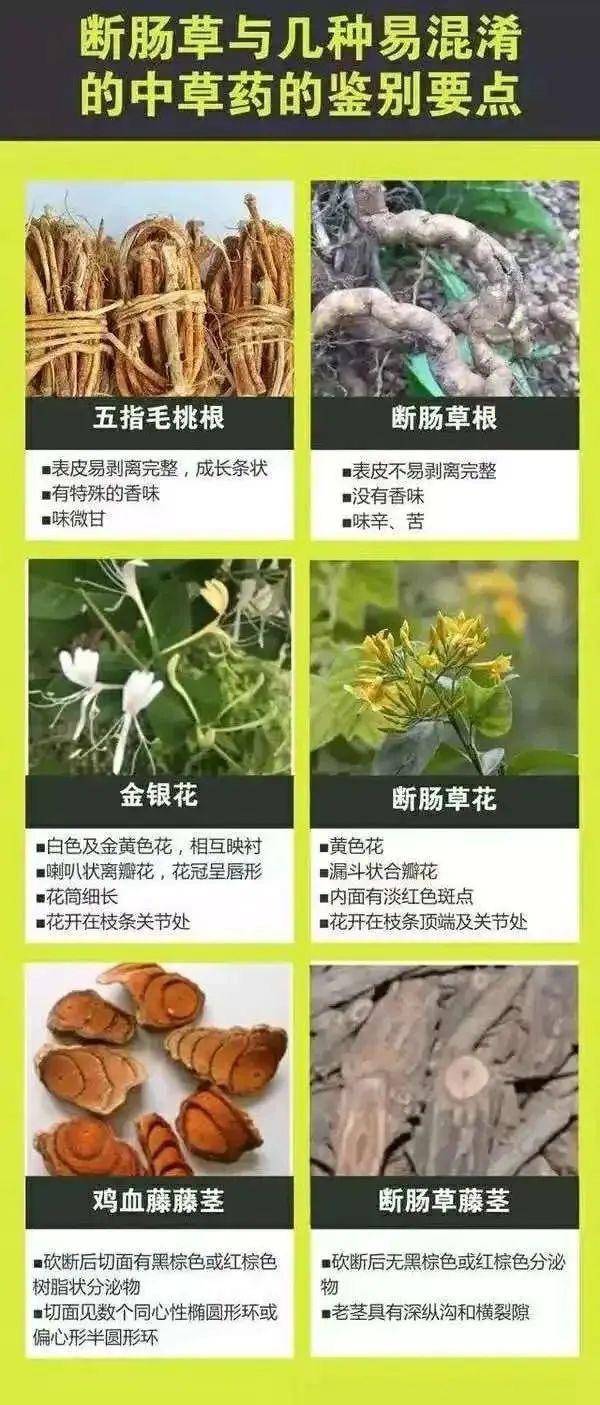 hga030app_广东一老人买药材煲汤中毒身亡 当地:店铺误售断肠草hga030app,老板被拘留