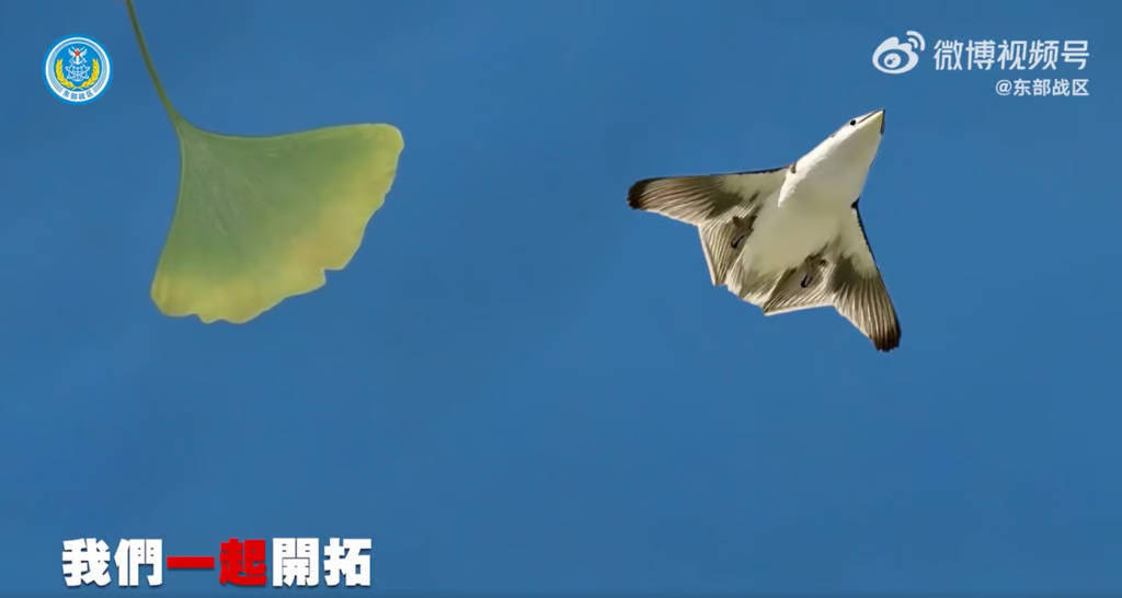 皇冠官网app_欧美军事专家热议中国新一代战机皇冠官网app,认为可能将在未来空战中被委以重任