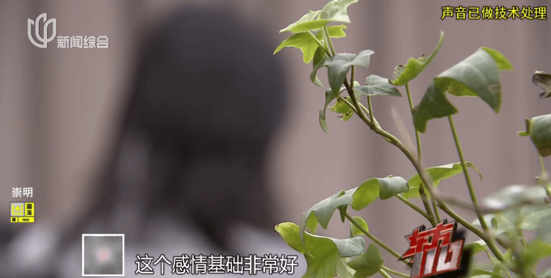 皇冠占成代理_上海主妇在家遇害皇冠占成代理,终于破案!凶手竟假扮丈夫领导,看了《东方110》后慌了