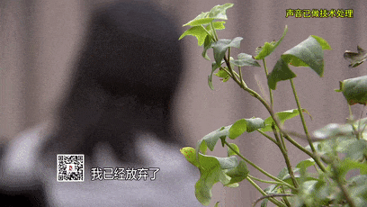 皇冠占成代理_上海主妇在家遇害皇冠占成代理,终于破案!凶手竟假扮丈夫领导,看了《东方110》后慌了
