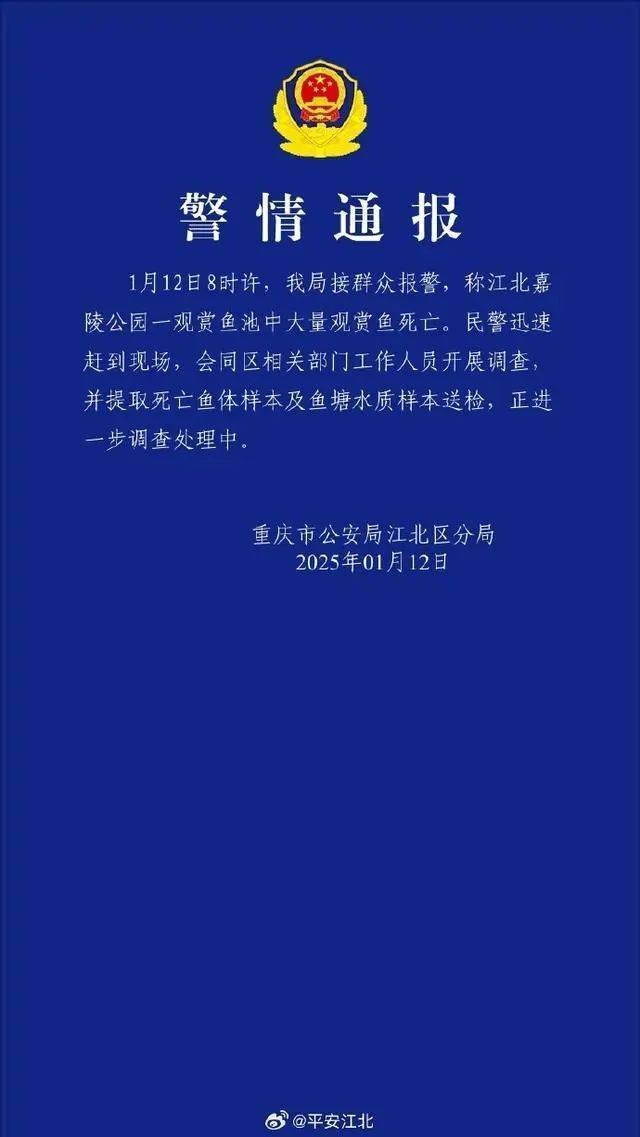 皇冠比分网_重庆警方通报“公园锦鲤大量死亡”:已提取死亡鱼体样本及鱼塘水质样本送检