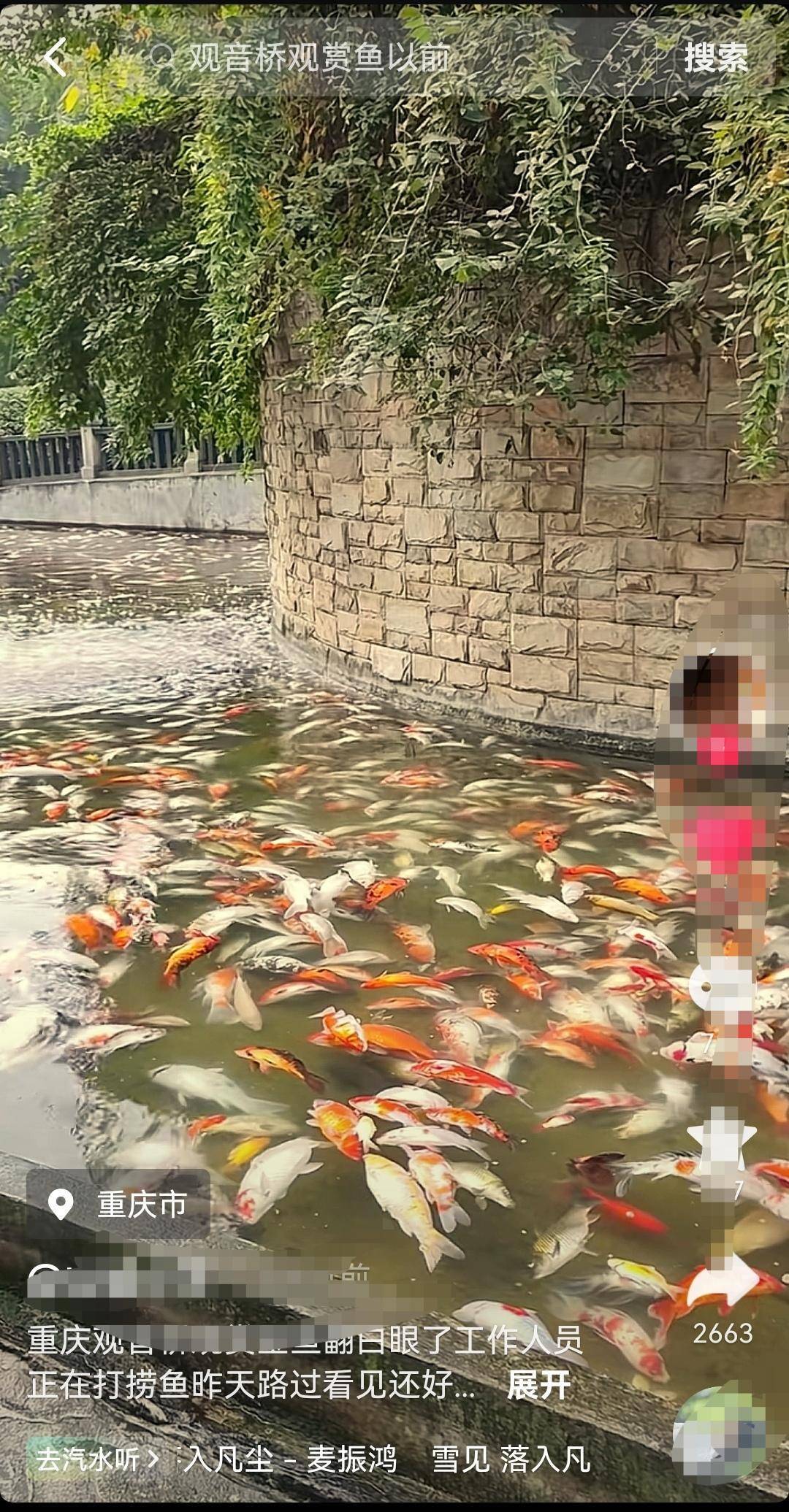 皇冠比分直播_重庆观音桥步行街观光鱼突然大量死亡皇冠比分直播,死鱼装满三十余编织袋 警方:正在调查