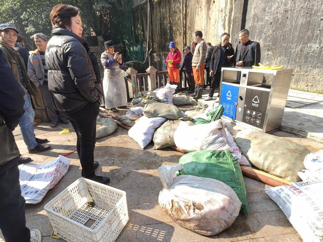 皇冠比分直播_重庆观音桥步行街观光鱼突然大量死亡皇冠比分直播,死鱼装满三十余编织袋 警方:正在调查