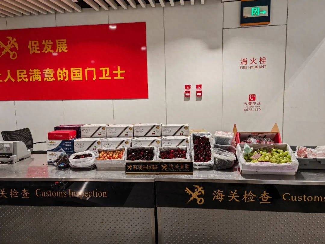 多米尼加-西班牙_7名旅客携带超60千克车厘子多米尼加-西班牙,25千克荔枝、蓝莓入境,被海关查获