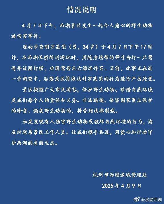 传说对决
_西湖水域管理处通报:34岁男子用弹弓打死鸳鸯