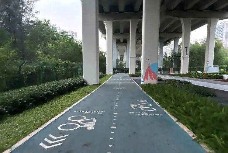 皇冠信用盘开户
_深圳一绿道现“搓衣板式”减速带皇冠信用盘开户
,网友直呼“反人类”,官方回应