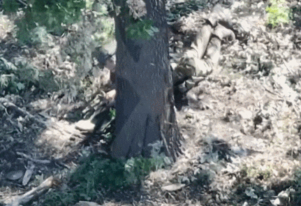 皇冠登2代理_数十名俄军吞枪自杀皇冠登2代理,多名女兵被炸死!用枪爆头会有痛苦吗?